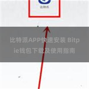 比特派APP快速安装 Bitpie钱包下载及使用指南