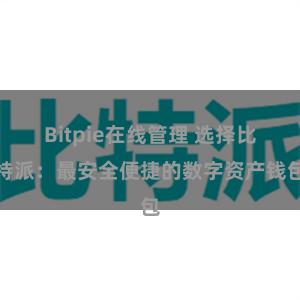 Bitpie在线管理 选择比特派：最安全便捷的数字资产钱包