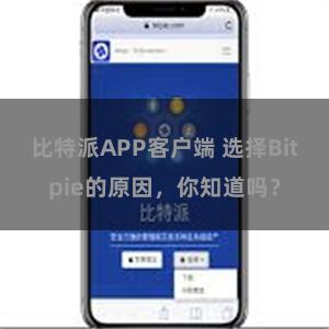 比特派APP客户端 选择Bitpie的原因，你知道吗？