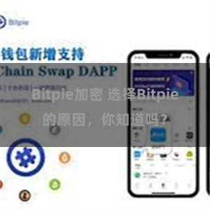 Bitpie加密 选择Bitpie的原因，你知道吗？