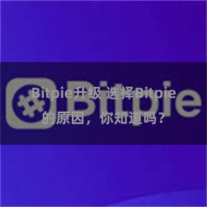 Bitpie升级 选择Bitpie的原因，你知道吗？