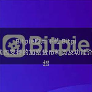 Bitpie应用下载 Bitpie钱包支持的加密货币种类及功能介绍