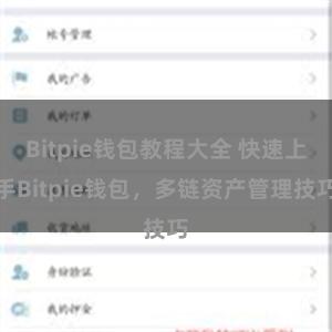 Bitpie钱包教程大全 快速上手Bitpie钱包，多链资产管理技巧