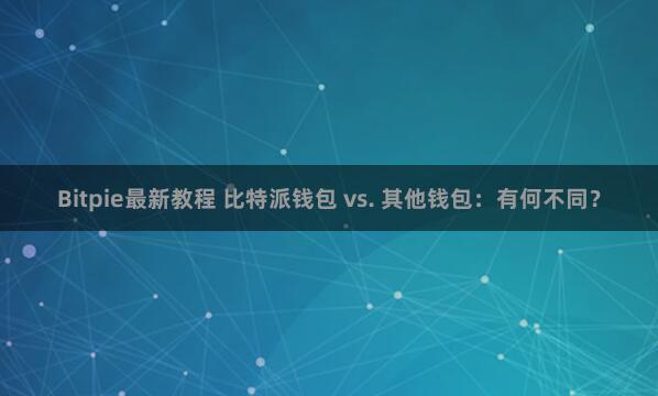 Bitpie最新教程 比特派钱包 vs. 其他钱包：有何不同？