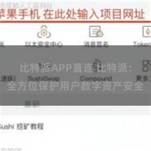 比特派APP直连 比特派：全方位保护用户数字资产安全