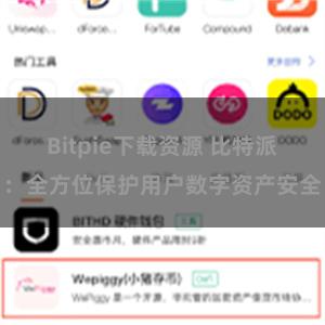 Bitpie下载资源 比特派：全方位保护用户数字资产安全