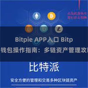 Bitpie APP入口 Bitpie钱包操作指南：多链资产管理攻略