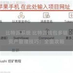 比特派系统 比特派钱包多链资产管理技巧：全面攻略