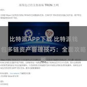 比特派APP下载 比特派钱包多链资产管理技巧：全面攻略