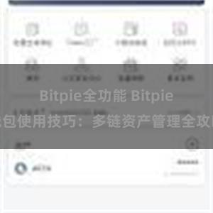 Bitpie全功能 Bitpie钱包使用技巧：多链资产管理全攻略