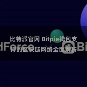 比特派官网 Bitpie钱包支持的区块链网络全面解析