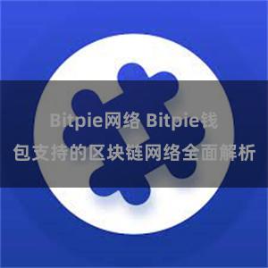 Bitpie网络 Bitpie钱包支持的区块链网络全面解析