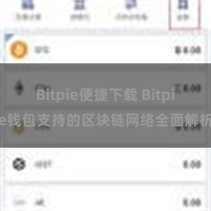 Bitpie便捷下载 Bitpie钱包支持的区块链网络全面解析