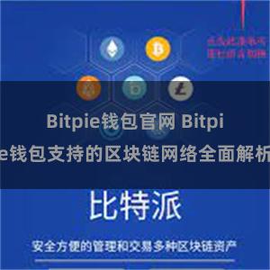 Bitpie钱包官网 Bitpie钱包支持的区块链网络全面解析