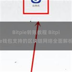 Bitpie转账教程 Bitpie钱包支持的区块链网络全面解析