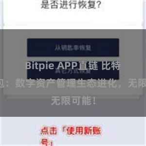 Bitpie APP直链 比特派钱包：数字资产管理生态进化，无限可能！