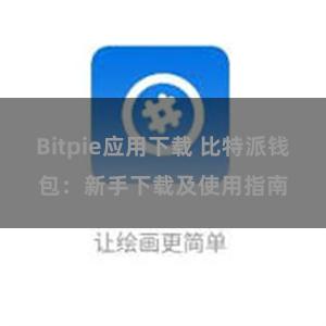 Bitpie应用下载 比特派钱包：新手下载及使用指南