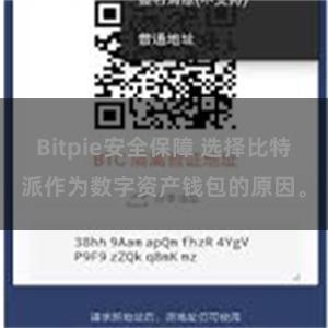 Bitpie安全保障 选择比特派作为数字资产钱包的原因。