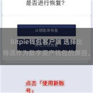 Bitpie钱包客户端 选择比特派作为数字资产钱包的原因。