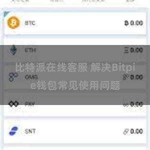 比特派在线客服 解决Bitpie钱包常见使用问题