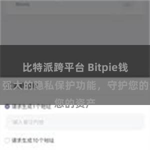 比特派跨平台 Bitpie钱包：强大的隐私保护功能，守护您的资产