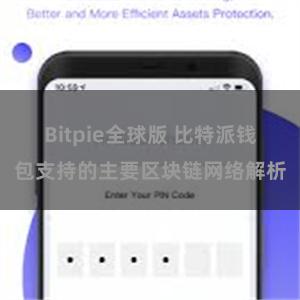 Bitpie全球版 比特派钱包支持的主要区块链网络解析