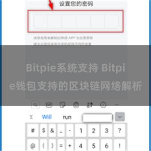 Bitpie系统支持 Bitpie钱包支持的区块链网络解析