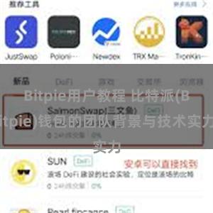 Bitpie用户教程 比特派(Bitpie)钱包的团队背景与技术实力