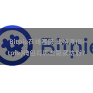 Bitpie在线客服 比特派(Bitpie)钱包有哪些隐藏功能？