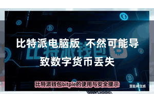 比特派电脑版  不然可能导致数字货币丢失
