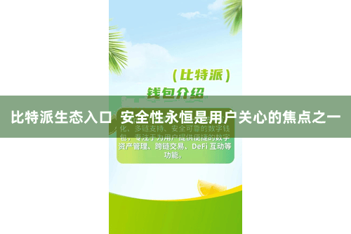 比特派生态入口  安全性永恒是用户关心的焦点之一