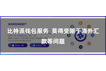 比特派钱包服务  莫得受限于海外汇款等问题