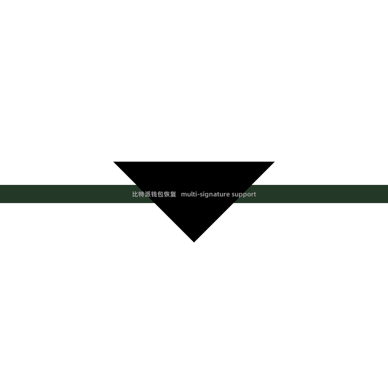 比特派钱包恢复   multi-signature support